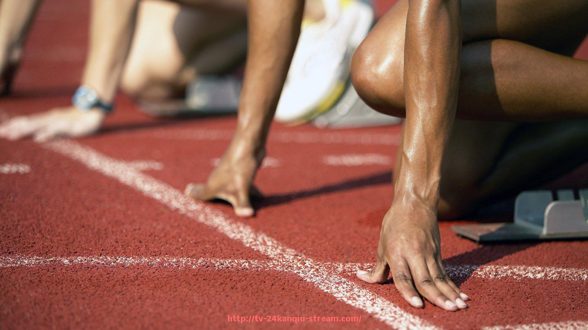 24看球直播网-世俱杯赛事安全管理机制：确保球员观众多方安全举措