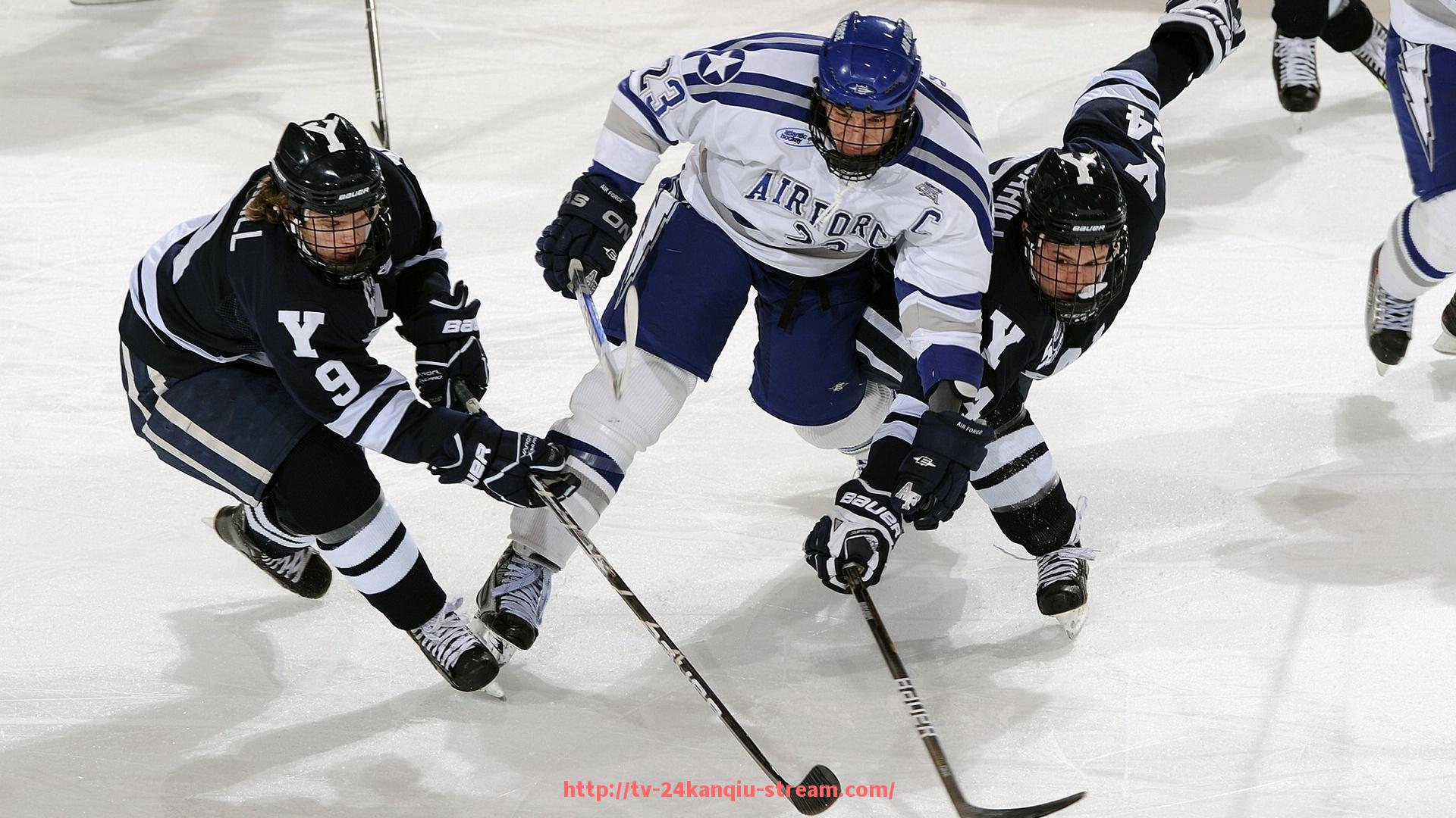 24看球直播网-宅男必备健身器材清单及科学健身计划